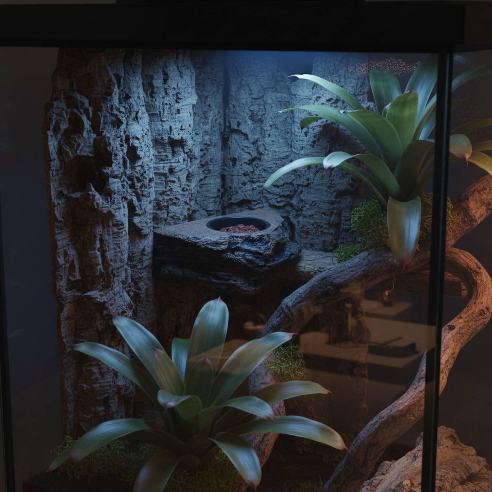 Water Dish Reptile - ヤモリ用フード＆ウォーターシェルフ、位置調整可能、取り外し可能なボウル付き、ガラス製テラリウム用爬虫類給餌シェルフ