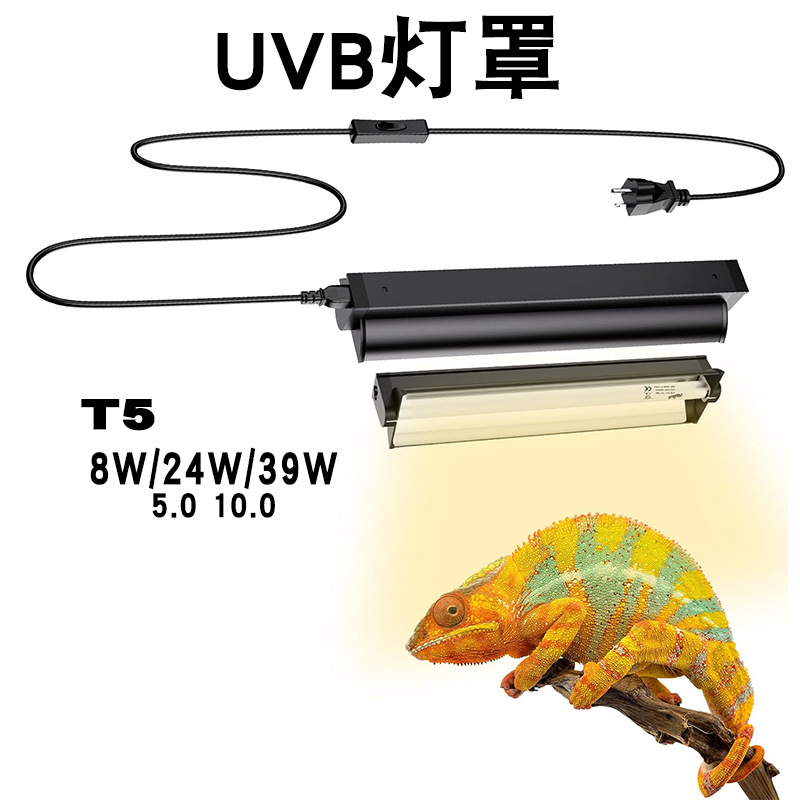 Calcium Powder Reptile - T5 UVBランプ一体型固定ガラス水槽付き爬虫類ライトキット、ヒゲトカゲ、カメ、ヘビ用日光浴カルシウムランプ