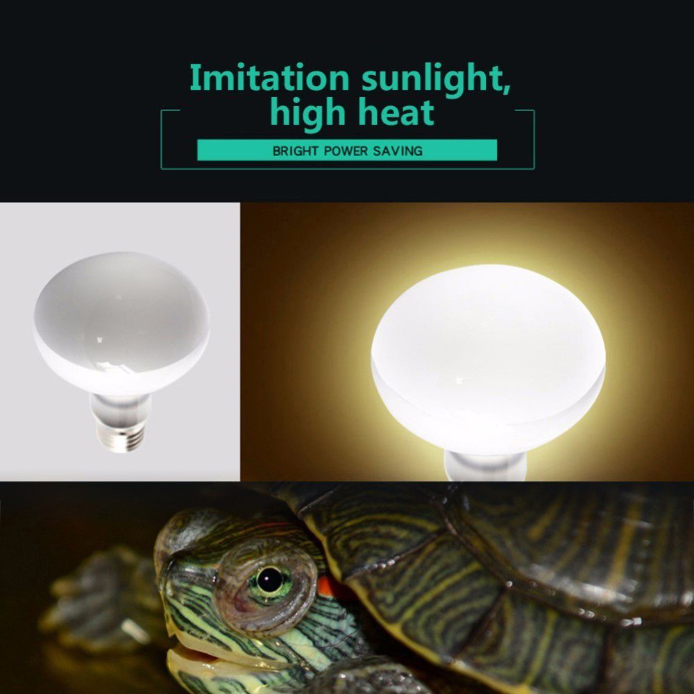 両生類用ヒートランプ温度調節器、爬虫類用日光浴ライト、ハロゲ - Basking Bulb Halogen のレビューと価格