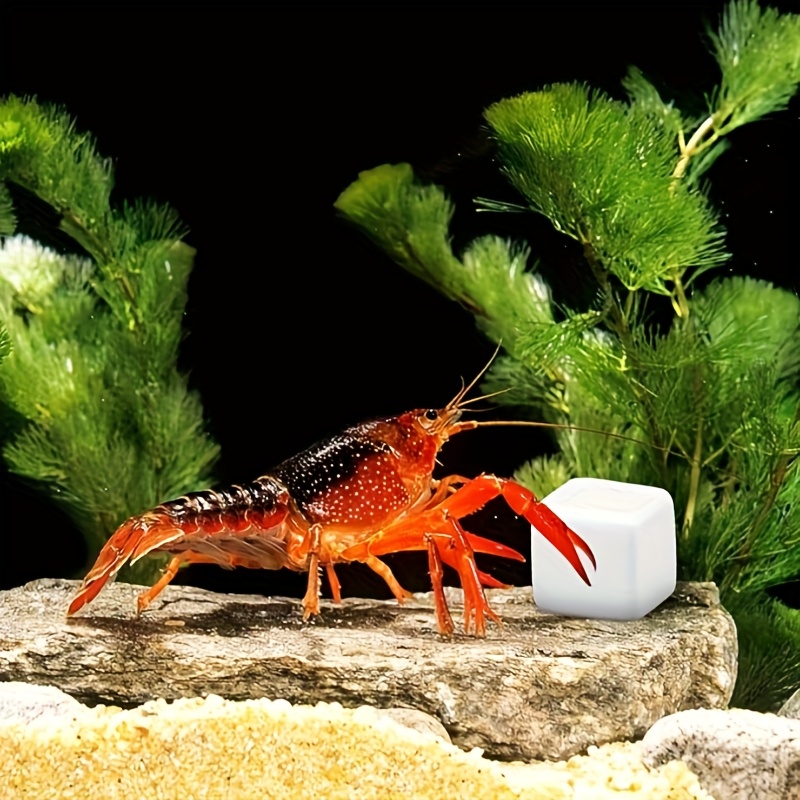 6個入り 魚タンク用カルシウムブロックミネラル 水槽用品 爬 - Calcium Powder Reptile のレビューと価格