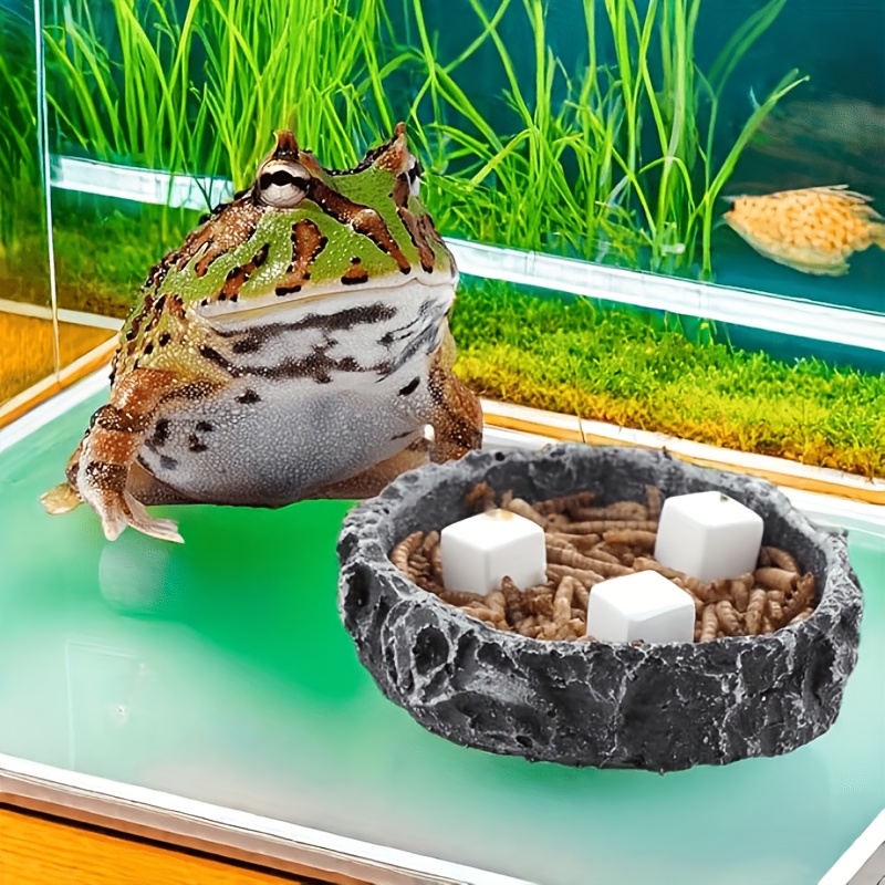 6個入り 魚タンク用カルシウムブロックミネラル 水槽用品 爬 - Calcium Powder Reptile のレビューと価格